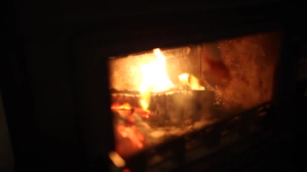 Cozy fireplace with wood burning to warm up — Stock Video