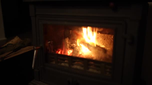 Öppen spis med förbränning av ved att värma upp — Stockvideo