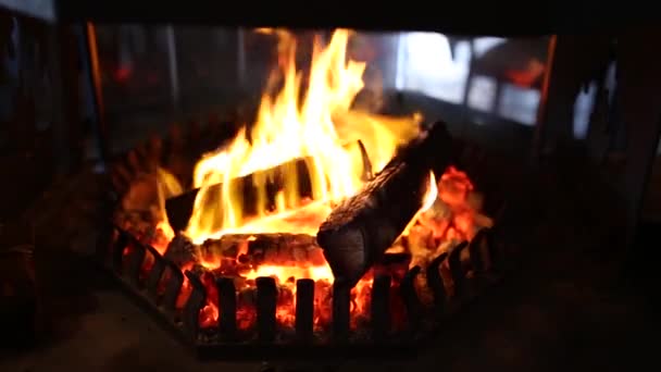 Закрыть огонь горящей древесины — стоковое видео