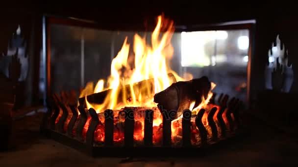 Close up de lenha queimando fogo — Vídeo de Stock