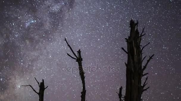 Milky way rising over the dead trees — Stock Video