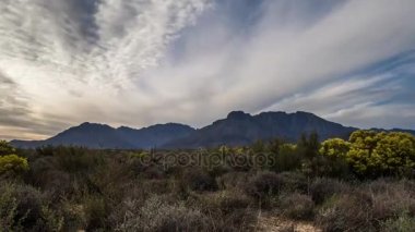 Karoo Milli Parkı - Güney Afrika