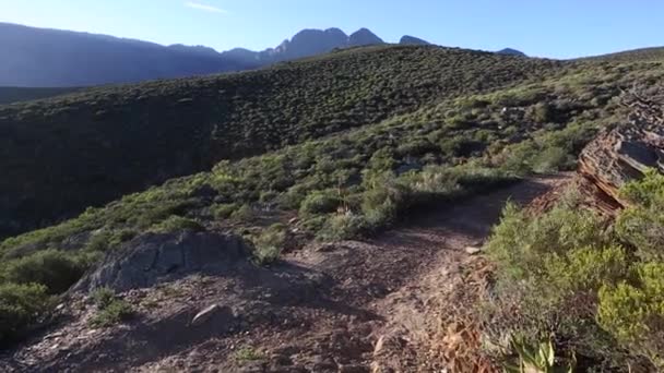 Male fitness model running along a trail — Stock Video