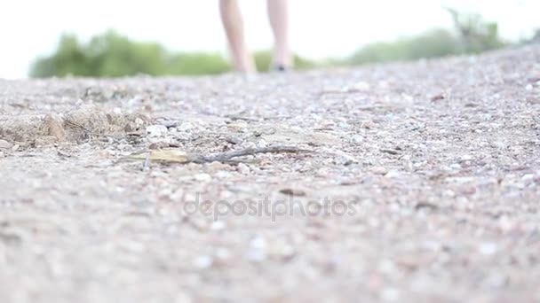 Mannelijk model van voeten en schoenen lopen — Stockvideo