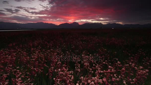 Amazing zonsondergang in Zuid-Afrika. — Stockvideo