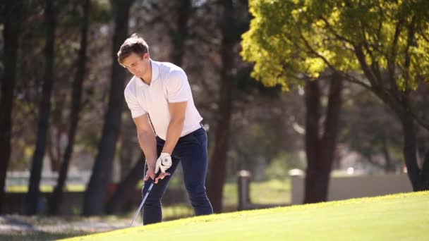 Golfa gra strzał podcinką — Wideo stockowe