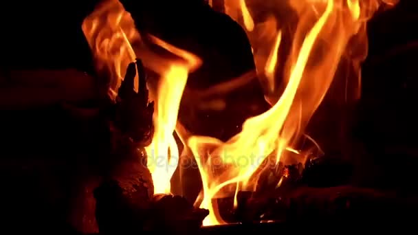 Detailní záběr z ohně hořící dřevo — Stock video