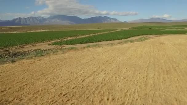 Een panoramisch uitzicht over de velden — Stockvideo
