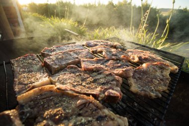 Etin geniş açı bakış braai üzerinde yakın / Barbekü bir tr olarak