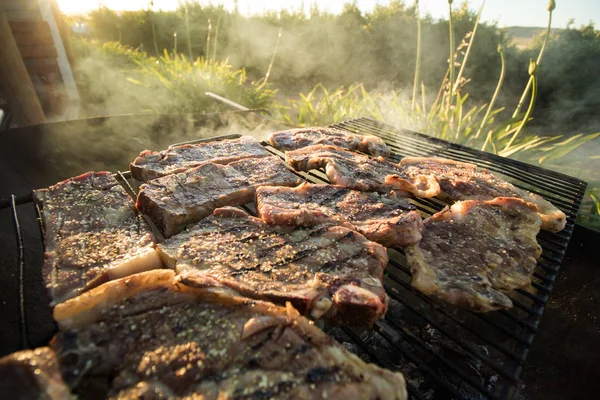 Vista panorámica de cerca de la carne en el braai / barbacoa como un tr —  Fotos de Stock