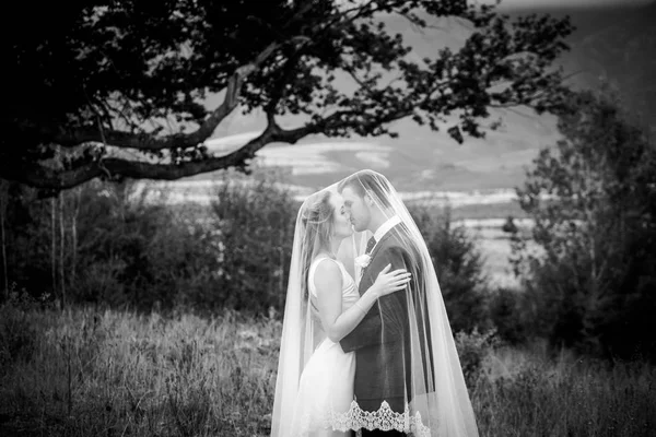 Belle mariée et son marié sur leur jour de mariage regardant heureux — Photo