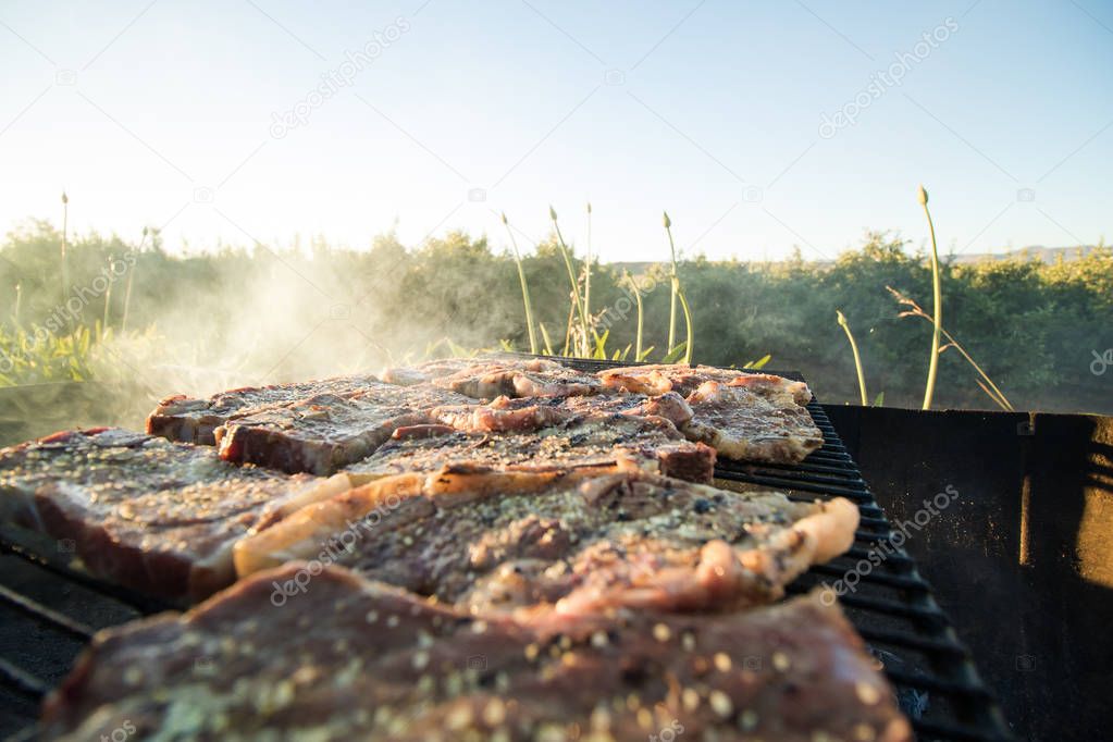 Close up wide angle view of meat on the braai / barbeque as a tr