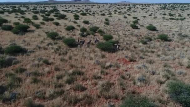 vue sur le Kalahari en Afrique australe ,