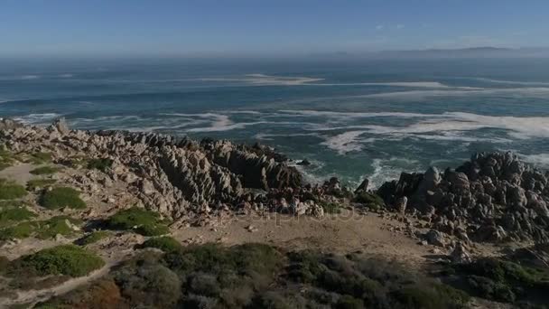 Vista aérea sobre Gansbaai — Vídeo de Stock