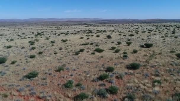 Vista sobre Kalahari en el sur de África , — Vídeos de Stock