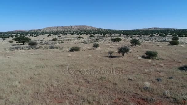 Vue sur le Kalahari en Afrique australe , — Video