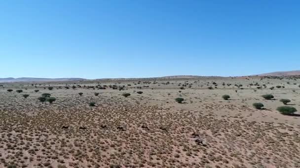 Blick auf die Kalahari im südlichen Afrika, — Stockvideo