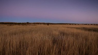 Güney Afrika'da Kalahari görüntüleyin,