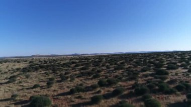 Kırmızı Hartebees ve Gemsbuck