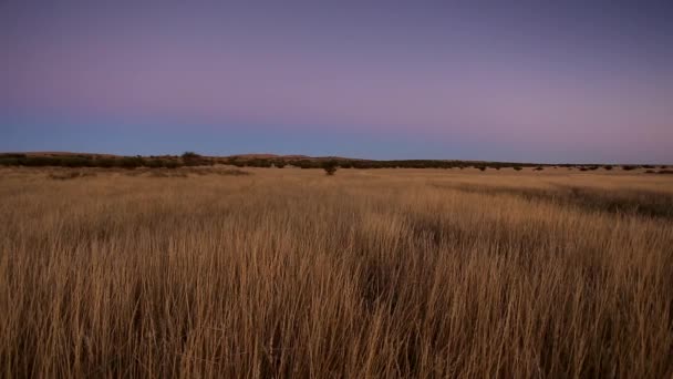 Blick auf die Kalahari im südlichen Afrika, — Stockvideo