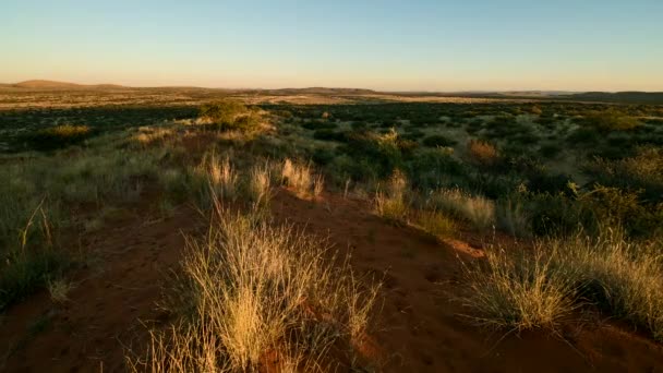 Passaggio temporale al tramonto sul Kalahari — Video Stock