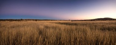 doğal Kalahari bölgesi sayısı