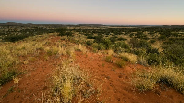 Výhled na malebné oblasti Kalahari — Stock fotografie