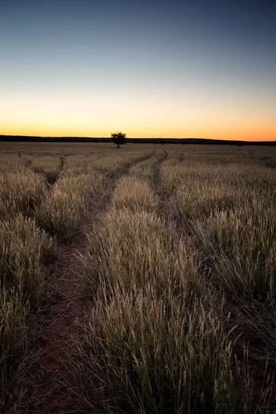 Vistas de la pintoresca región de Kalahari —  Fotos de Stock