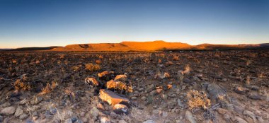 Northern Cape, Güney Afrika