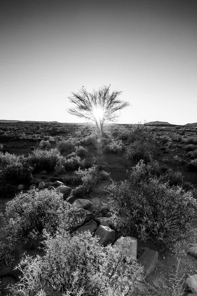 Northern Cape of South Africa — Stock Photo, Image