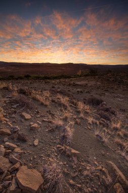 Northern Cape, Güney Afrika