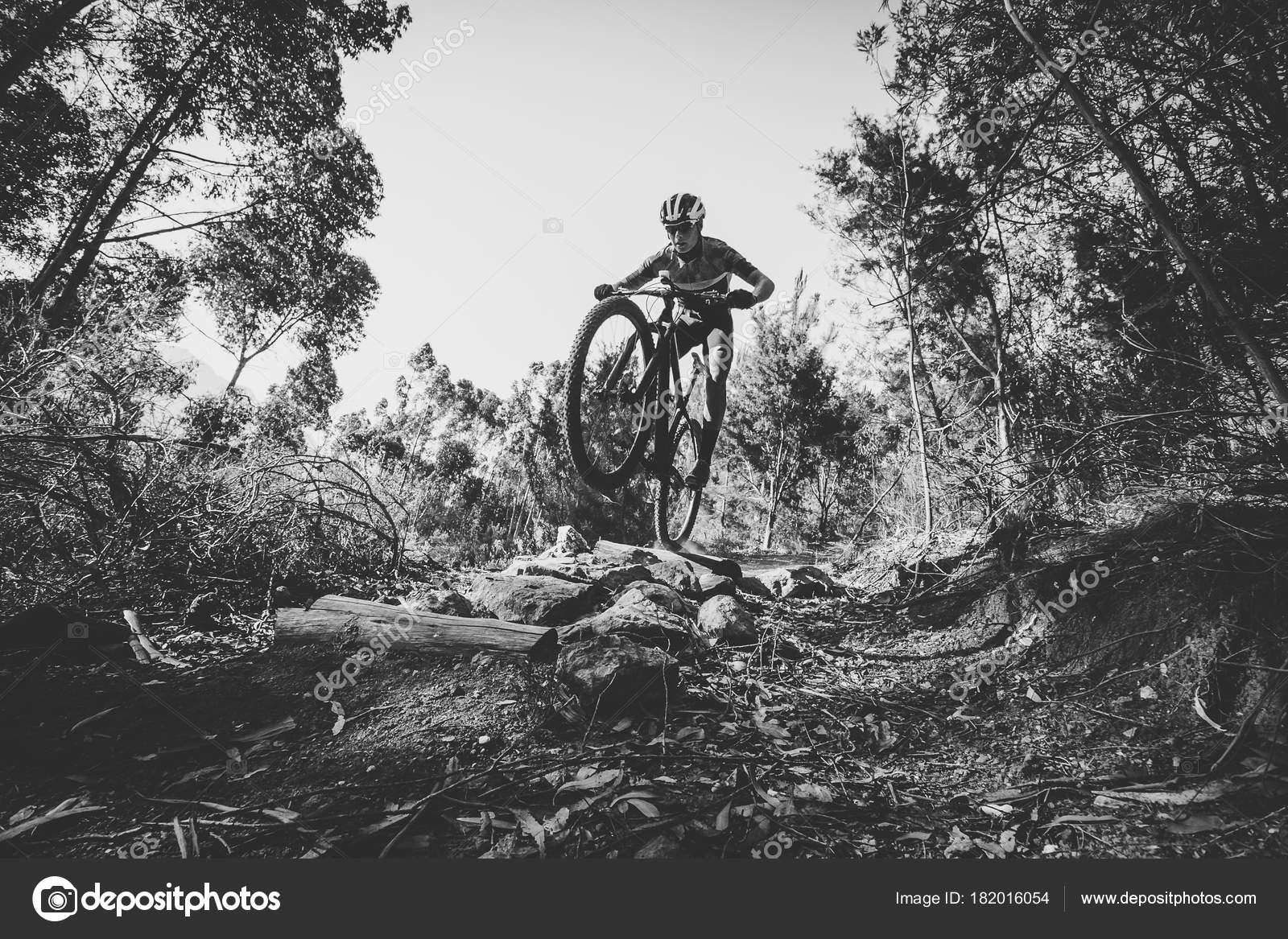 Mountain biker speeding downhill Stock Photo by ©dewalddewaldkirsten