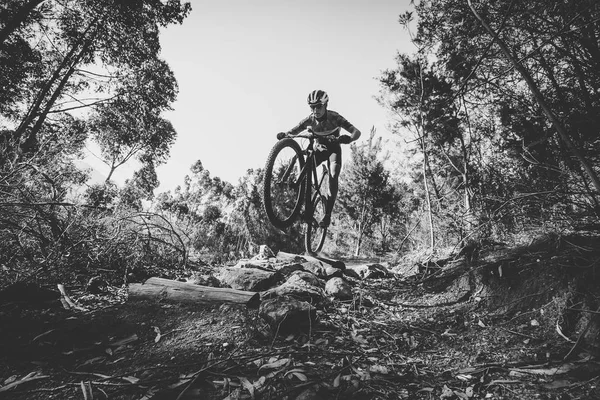 Горный велосипедист, скачущий вниз — стоковое фото