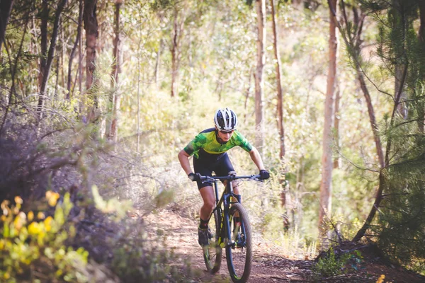 VTT excès de vitesse descente — Photo