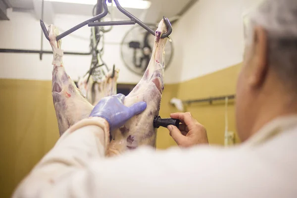 Inspetor de carne colocando um selo — Fotografia de Stock