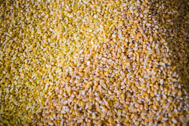 hisse senedi bir çiftlikte hayvan yemi