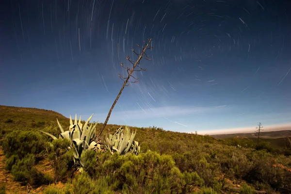 Karoo region poblíž Uniondale — Stock fotografie