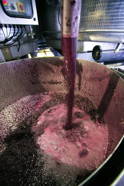 Mosto di vino rosso in un'azienda vinicola — Foto Stock