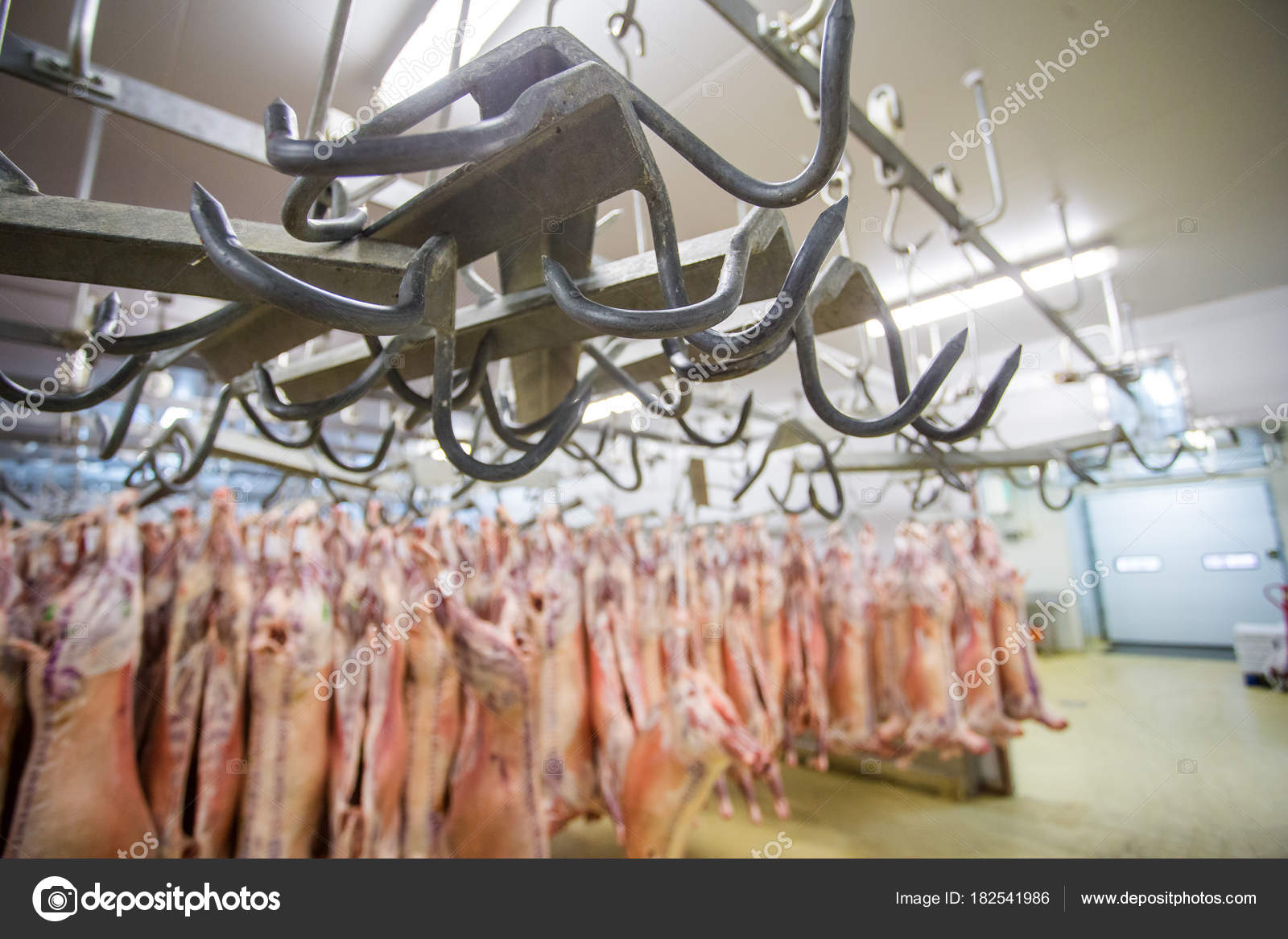 Meat hooks in a slaughterhouse — Stock Photo © dewald