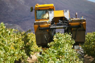 Üzüm Hasat makineleri