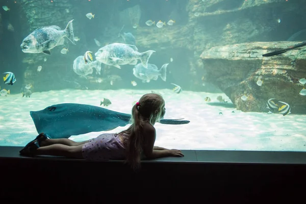 水槽で泳ぐ魚の景色を楽しんでいる若い女の子のクローズ アップ ビュー — ストック写真