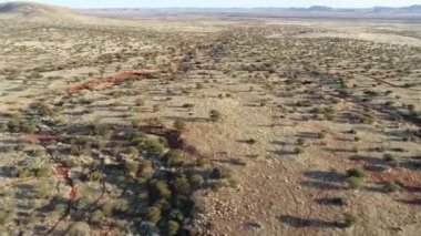 Güney Afrika'da kalahari bölgesinde vahşi hayvanların havadan görünümü