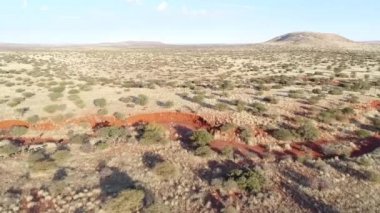 Güney Afrika'da kalahari bölgesinde vahşi hayvanların havadan görünümü