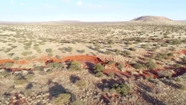 Воздушный Вид Диких Животных Районе Калахари Южной Африки — стоковое видео