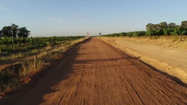 Воздушный Вид Сухую Дорогу Возле Зеленого Луга Солнечное Время — стоковое видео