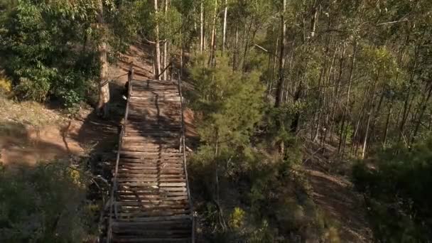 Flygfoto Över Cyklist Kör Torkade Väg Trä Solnedgång — Stockvideo