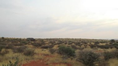 günbatımı zaman kuru çayır görünümü