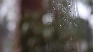 Yağmur damlaları ve su pencere camına closeup video