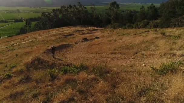 Letecký Pohled Jednotky Cyklista Silnici Sušených Louce Při Západu Slunce — Stock video