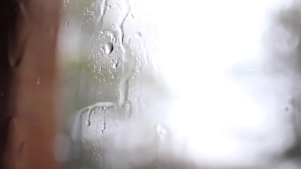 Nahaufnahme Video Von Regentropfen Und Wasser Auf Fensterscheiben — Stockvideo